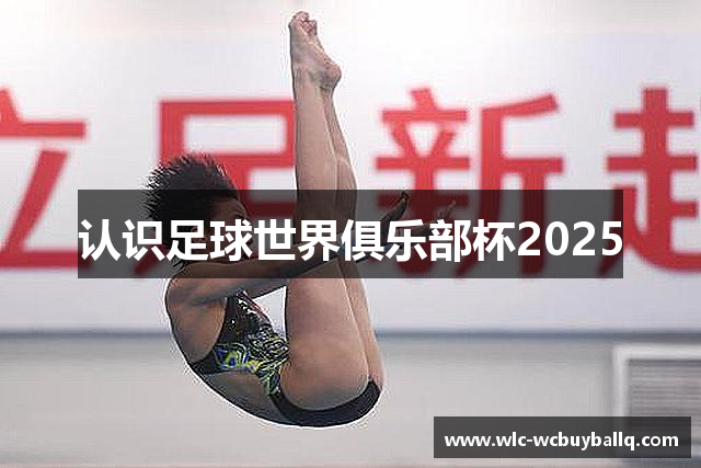 认识足球世界俱乐部杯2025